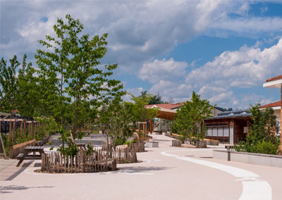 Ecole du petit Prince